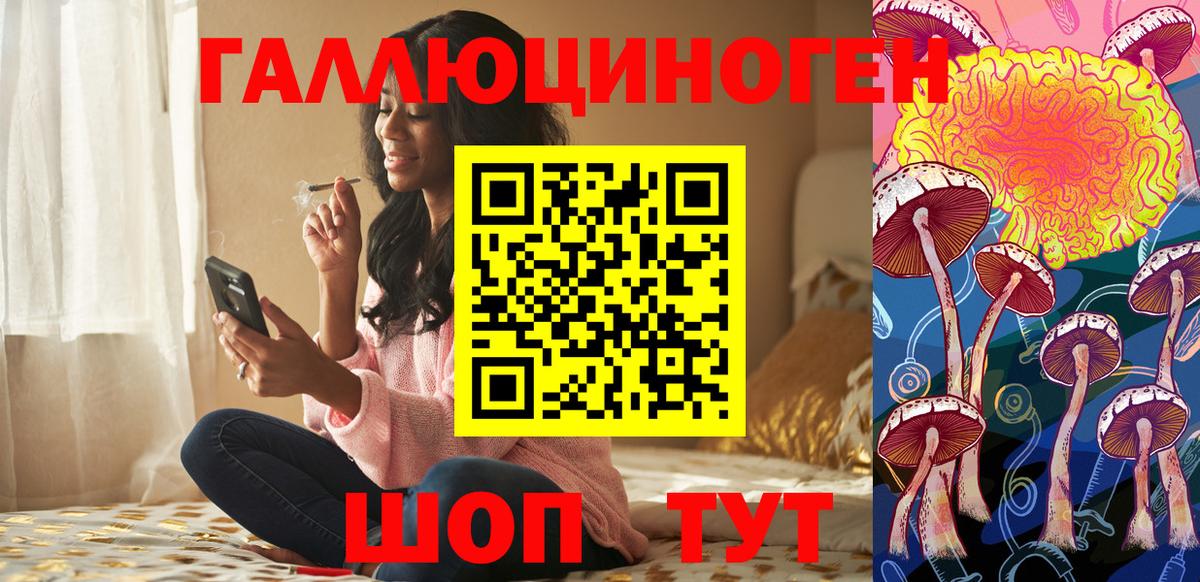 Мичуринск  Псилоцибиновые грибы Cubensis  Вход с VPN 