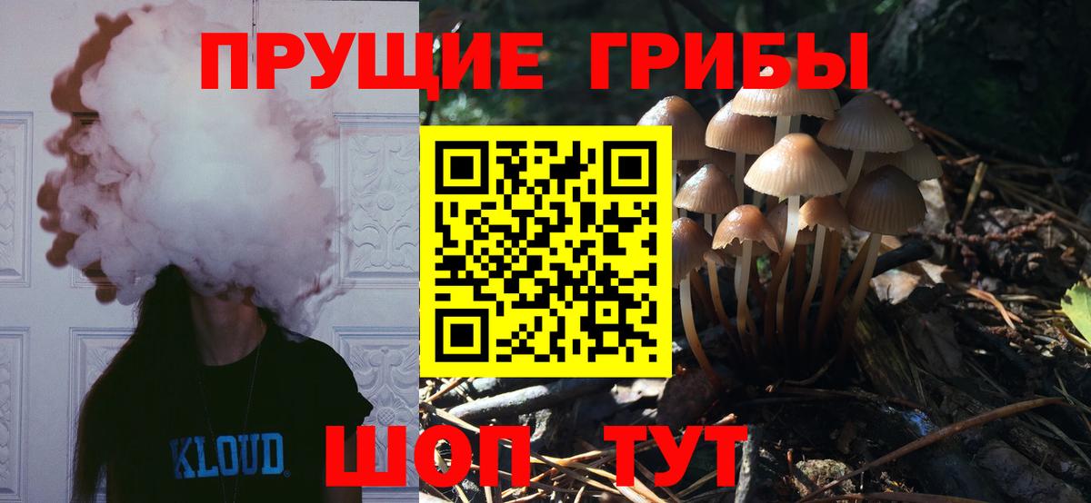 Псилоцибиновые грибы Psilocybine cubensis Мичуринск